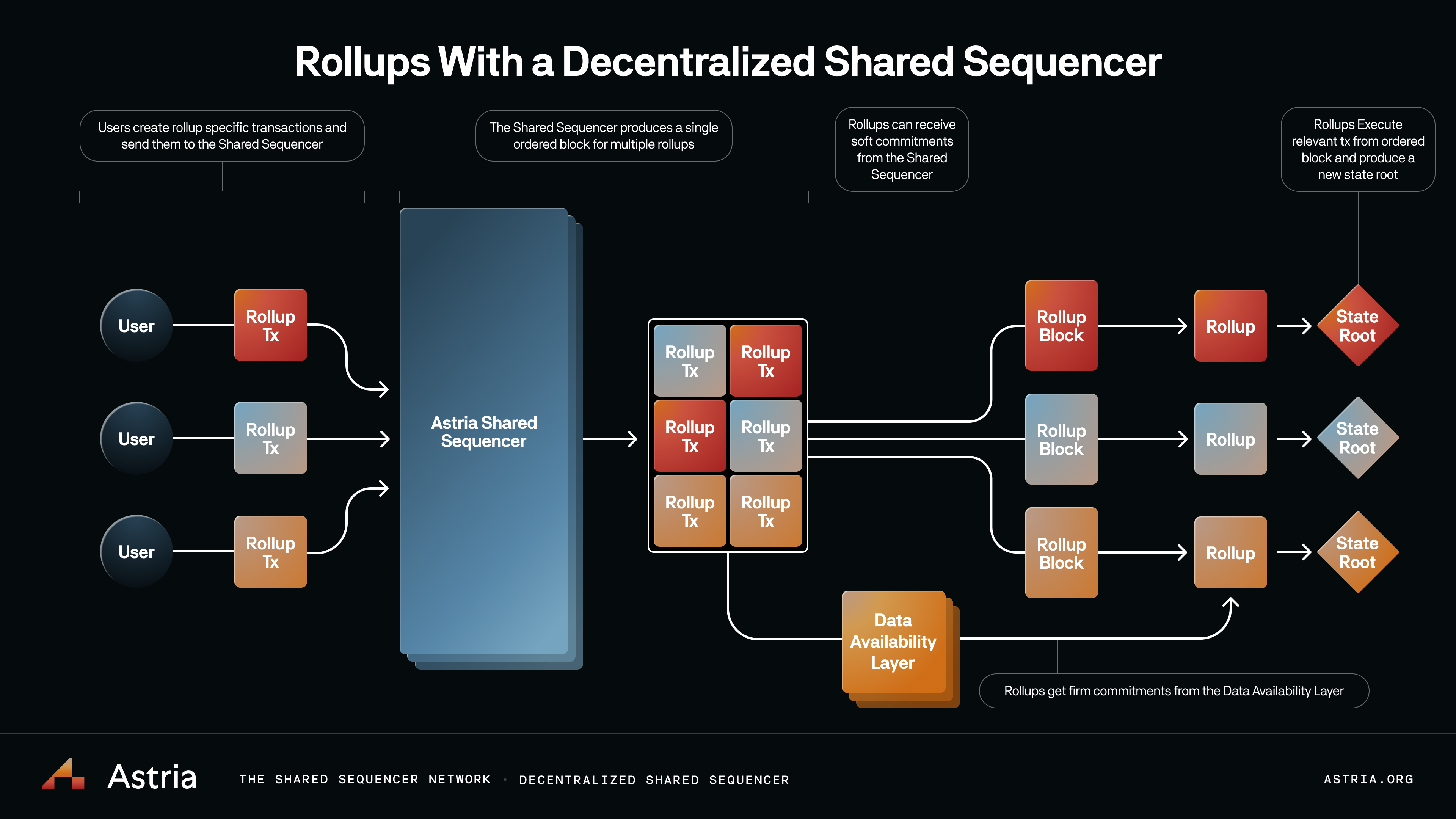 Shared Sequencers